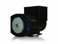 Stamford Bürstenloser Generator mit Autostart 15kVA bis 500kVA Wechselstromgenerator mit 30kVA 40kVA 50kVA 60kVA Modellen