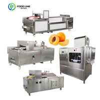 Efficiëntieverhogende Mangozaadverwijderaar Machine Grootschalig Fruitreiniger Apparaat Om Scheidende Verwerkingsmachines Te Verwijderen