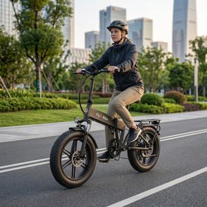 Vélo hybride à pneus larges de 20 pouces, cadre en aluminium pliable, batterie au lithium 36V 10.4Ah, moteur à moyeu arrière, frein à disque, moteur sans balais 350W DY2008 - Product Image 5