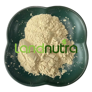 Landnutra thảo mộc tự nhiên chiết xuất 99% Panax <span class=keywords><strong>Ginseng</strong></span> chiết xuất nhân sâm gốc bột nhân sâm <span class=keywords><strong>10</strong></span>%- <span class=keywords><strong>80</strong></span>% ginsenosides - Product Image 2