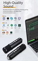 Micrófono de Condensador USB Rayco con Cancelación de Ruido, Diseño Ligero para Transmisión en YouTube, Videojuegos, Grabación de Podcasts, Micrófono de Estudio con Cable