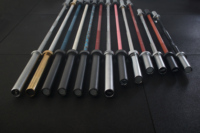 Équipement de fitness Compétition d'entraînement Gym Puissance Haltérophilie 20kg Barre d'haltères