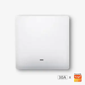 30A switch 4400W power tuya smart WiFi boiler water heater switch EU UK Google assistant alexa controller