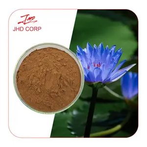 Großhandel getrocknet 200:1 Blue Lotus Flower Extract Pulver Blue Lotus Extract