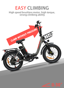 Vélo électrique JLM MK-203 à cadre basse, avec panier et pneus larges, 48V 500W, prix usine, entrepôt UE - Product Image 6