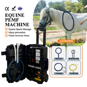 Máquina Profesional de Fisioterapia PEMF, Máquina de Terapia Magnética de 6000 Gauss con Certificación CE para Clubes de Carreras de Caballos - Product Image 6