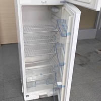 Réfrigérateur à double porte 263L à froid direct, congélateur supérieur et réfrigérateur inférieur, réfrigérateur domestique avec poignée et serrure - En stock