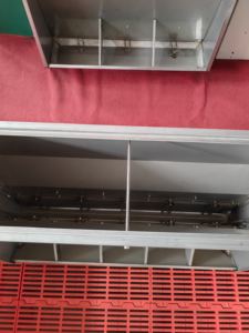 गर्म डुबकी गैल्वेनाइज्ड हो रही सुअर क्ररेट होग फाटनिंग डलंबा - Product Image 4