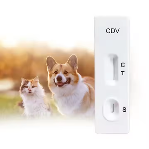 Kit <span class=keywords><strong>de</strong></span> prueba <span class=keywords><strong>de</strong></span> virus <span class=keywords><strong>para</strong></span> mascotas personalizado, kit <span class=keywords><strong>de</strong></span> prueba rápida <span class=keywords><strong>de</strong></span> fiebre canina <span class=keywords><strong>para</strong></span> uso doméstico <span class=keywords><strong>de</strong></span> mascotas - Product Image 4