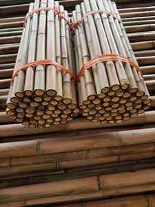 Piquets agricoles OEM | Traités sur mesure | Bambou séché | Usine directe - Product Image 4