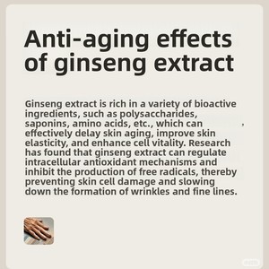 食品级人参皂苷80%人参提取物精华花草茶新鲜有机特级免煮袋装盒装 - Product Image 4