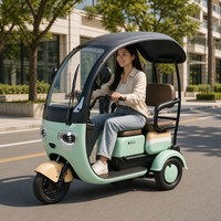 Tricycle électrique 1000W, 3 places, trois sièges réglables, carrosserie ouverte, petit scooter familial