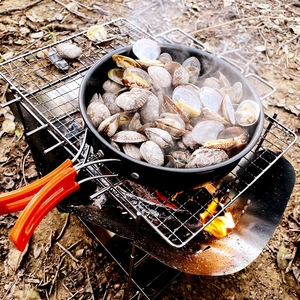 JWQ-050 <span class=keywords><strong>per</strong></span> escursioni all'aperto portatile a Pellet Fire Pit pieghevole <span class=keywords><strong>per</strong></span> campeggio leggero Picnic griglia <span class=keywords><strong>per</strong></span> stufa a carbone - Product Image 6