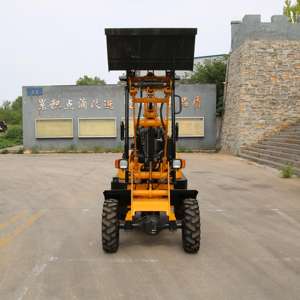 Chine Mini chargeur avec accessoire moteur EPA Capacité de charge de 400kg Condition utilisée Petit chargeur de toit pour un usage domestique - Product Image 3