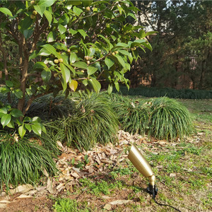 Spots de <span class=keywords><strong>jardin</strong></span> en laiton led spike lights - Product Image 2