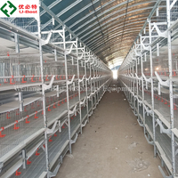 Cages pour poulets de chair de type H, cages automatiques pour poulets de chair, équipement d'élevage avicole automatique, cage d'alimentation automatique pour poulets
