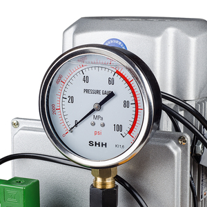 ปั๊มโซลินอยด์วงเดียวไฮดรอลิก1.5kW DB150-D1ปั๊มขดลวดเดี่ยว - Product Image 2