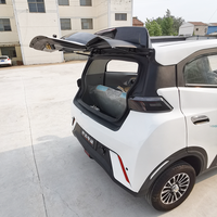 Grand écran multifonctionnel intérieur de luxe populaire de la voiture électrique adulte 60V
