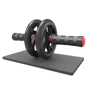 Vente en gros d'équipements de fitness de haute qualité à double roue abdominale AB roue rouleau boîte de couleur équipement de fitness pour exercice à domicile