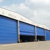 Avions flexibles énormes de rideau en PVC de structure métallique flexible pliant la porte électrique automatique de hangar