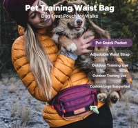 Sac de promenade pour chien en cuir PU personnalisé avec ceinture de taille et bandoulière, pochette d'entraînement pour friandises
