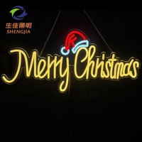 Décoration de Noël en forme d'étoile LED pour rue, motif personnalisé OEM ODM, cadre métallique + guirlandes lumineuses LED IP65, télécommande