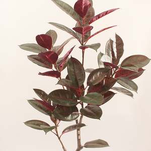 Plante artificielle olive JWS3805 - Matériau PEVA écologique pour la décoration de la remise de diplômes et de Noël - Vente directe d'usine - Product Image 2