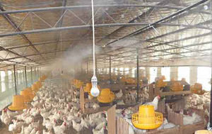 2.0l/Min ad alta pressione macchina di nebulizzazione esterna nebbia <span class=keywords><strong>Cnc</strong></span> sistema di raffreddamento per Patio fungo giardino ristorante umidificatore - Product Image 6