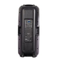 Haut-parleur PA actif professionnel à double woofer en ferrite de 15 pouces, 300 W RMS, classe D, pour l'intégration de projets audio commerciaux
