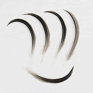 10-18cm vịt lời khuyên cánh với lông cong lông vịt tự nhiên cho hàng thủ công - Product Image 2