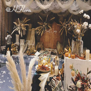 HFloral venta al por mayor 45cm de Altura 15 piezas de tallo por paquete esponjoso Natural seco pequeño Pampas hierba para la decoración del hogar - Product Image 6