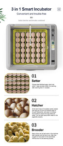 Incubadora automática completa Hhd, máquina para incubar 36 huevos, equipo de granja avícola de pollo con tanque de agua extraíble - Product Image 6