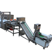 Prijs van een productielijn voor aardappelchips / proces voor de productie van aardappelchips