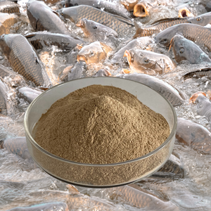 水質の悪さと病気を解決-1kg水質養殖用Bacillus Subtilis | 池を安定させ、免疫力を高める - Product Image 3