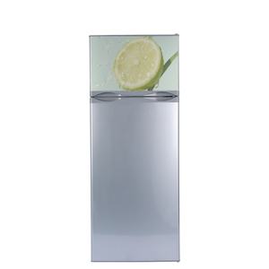 Réfrigérateur solaire mini <span class=keywords><strong>Frigo</strong></span> Solaire, en acier inoxydable, avec congélateur supérieur, capacité de 218 L, garantie de 3 ans - Product Image 1