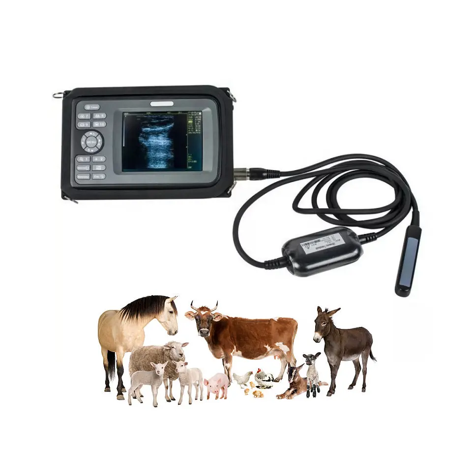 Preiswerter tragbarer handgerät-ultraschall-scanner für tierhaltung landwirtschaftlicher gebrauch tiermedizin-ausrüstung rinder-equiden-ziegen-schweine ultraschallgerät