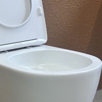 WC suspendu MWD européen blanc mat, monobloc, sans bride, avec chasse d'eau Tornado, pour salle de bain et hôtel