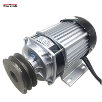 Unite BM1418ZXF 500W 36V 48V 60V Double poulie entraînement par courroie moteur à courant continu sans balais pour tondeuse Tricycle électrique moteur agricole