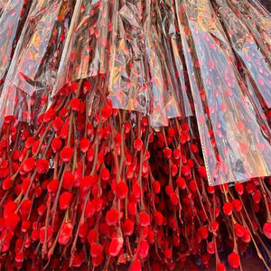 Hochwertige B-2596 konservierte Blumen Pflanzen <span class=keywords><strong>Pussy</strong></span> <span class=keywords><strong>Willow</strong></span> Red Salix Silver <span class=keywords><strong>Willow</strong></span> für Weihnachts dekoration - Product Image 6