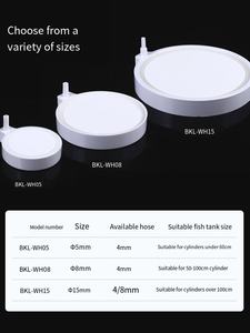 저소음 저압 산소 부스터 펌프 나노 가스 디스크 폭발 방지 기능이있는 석재 공기 분무기 플라스틱 정제 - Product Image 6