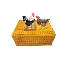 chicken transport cage chick turnover box poultry plastic transport crate for duck pigeon HJ-DN016
