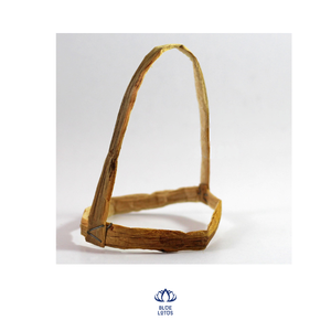 Botella de agua de Jacinto independiente de diseño-Botella de soporte de jacinto de agua // contact Ms Hani 0084 767 550 132 - Product Image 1