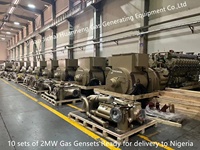 Groupe électrogène biogaz 600 kW CHP CE & ISO à base de déchets de vache