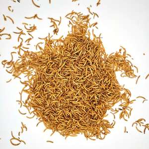 Alimento para Pequenos Animais de Alta Proteína Natural, Vermes de Pão Secos, Mealworm Seco - Product Image 4