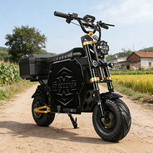 Scooter Eléctrico GT-M6 de 300KM de Largo Alcance, 10000W, <span class=keywords><strong>para</strong></span> Estados Unidos, 72V, Motores Duales, Control por Aplicación NFC, Llantas Todoterreno de 14 Pulgadas - Product Image 1