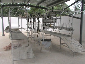 Sistema di Dosaggio Automatico per Sala di Mungitura Bovina con Pompa Multifunzione ad Alta Efficienza Montata Centralmente - Product Image 5