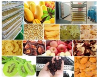 Nieuwe Technologie Industriële Gebruikt Droger Fruit Groente Voedsel Drogen Dehydrateren Machine