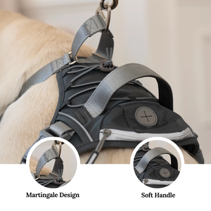 <span class=keywords><strong>Harness</strong></span> Anjing Neoprene Segala Cuaca dengan Sistem Keamanan Martingale Belakang & Kantong Camilan <span class=keywords><strong>Mini</strong></span> <span class=keywords><strong>Harness</strong></span> Anjing Ergonomis untuk Petualangan Luar Ruangan - Product Image 4