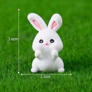 Décoration <span class=keywords><strong>de</strong></span> jardin miniature, lapin autour du feu, fête du thé, aménagement paysager <span class=keywords><strong>de</strong></span> jardin, accessoires décoratifs, décoration <span class=keywords><strong>de</strong></span> bureau - Product Image 6