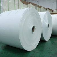 Papier couché PE en rouleaux de 150 g/m² à 350 g/m² pour gobelets à café chaud – Prix usine